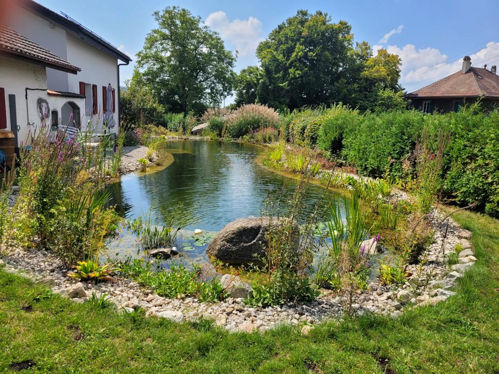 piscine naturelle